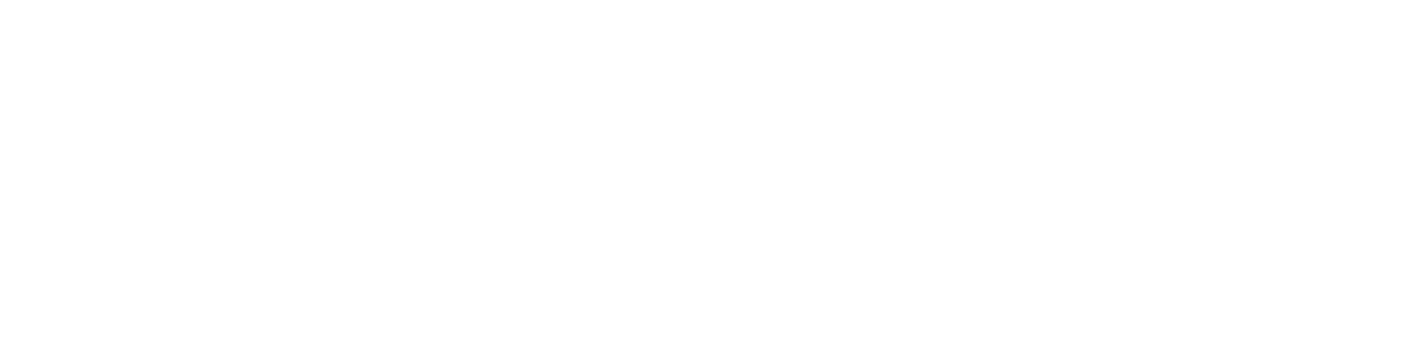 Cyber Security Council